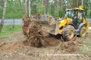 Корчевание пней, расчистка земельных участков